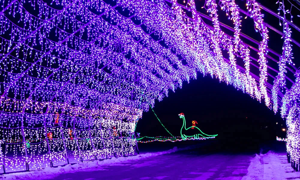 Christmas Lite Show
