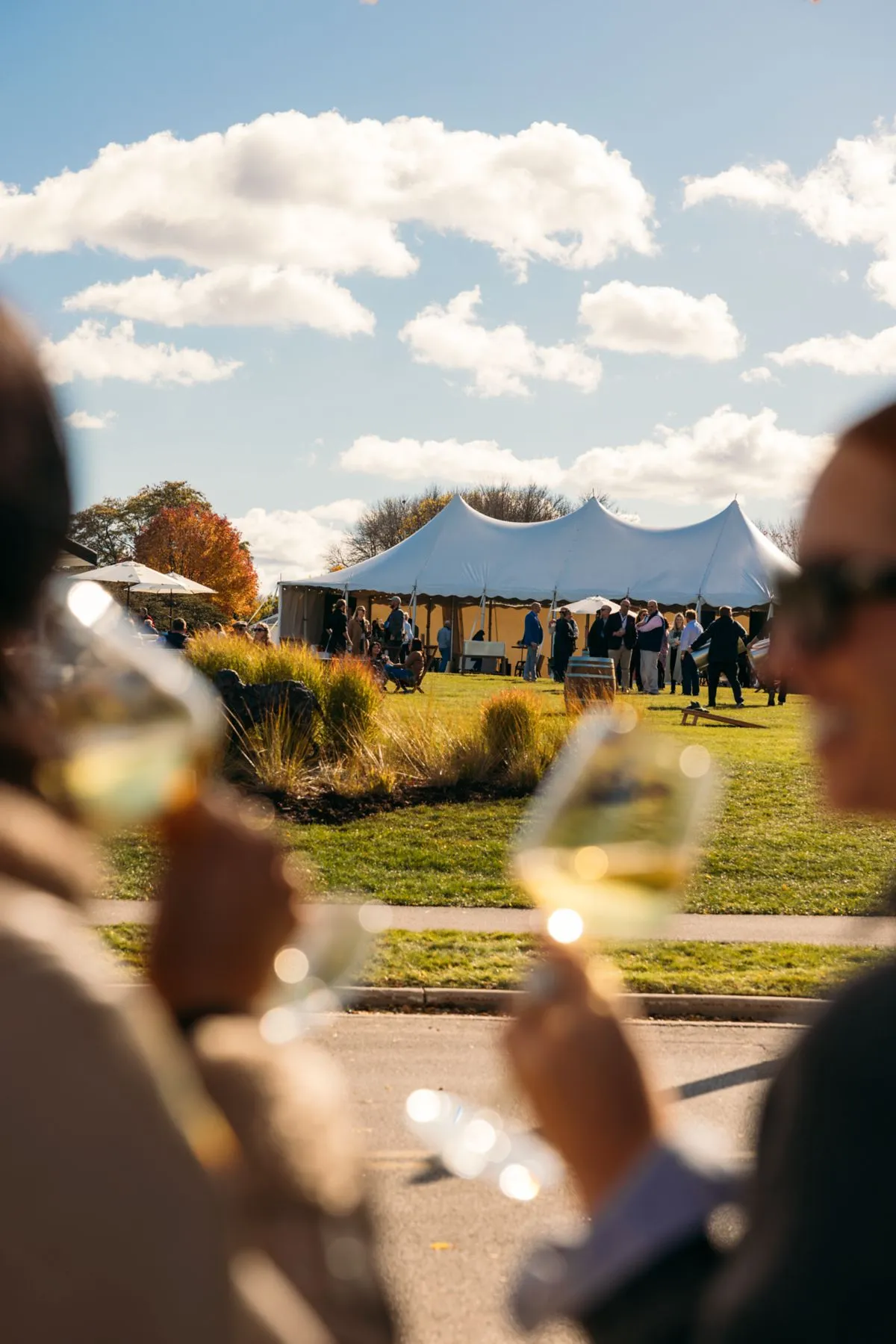 Kohler Food and Wine