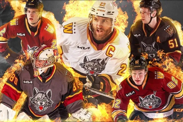 Chicago Wolves V Texas Stars