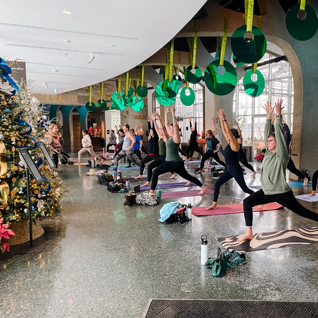 Yoga Under The Trees (ADULT)